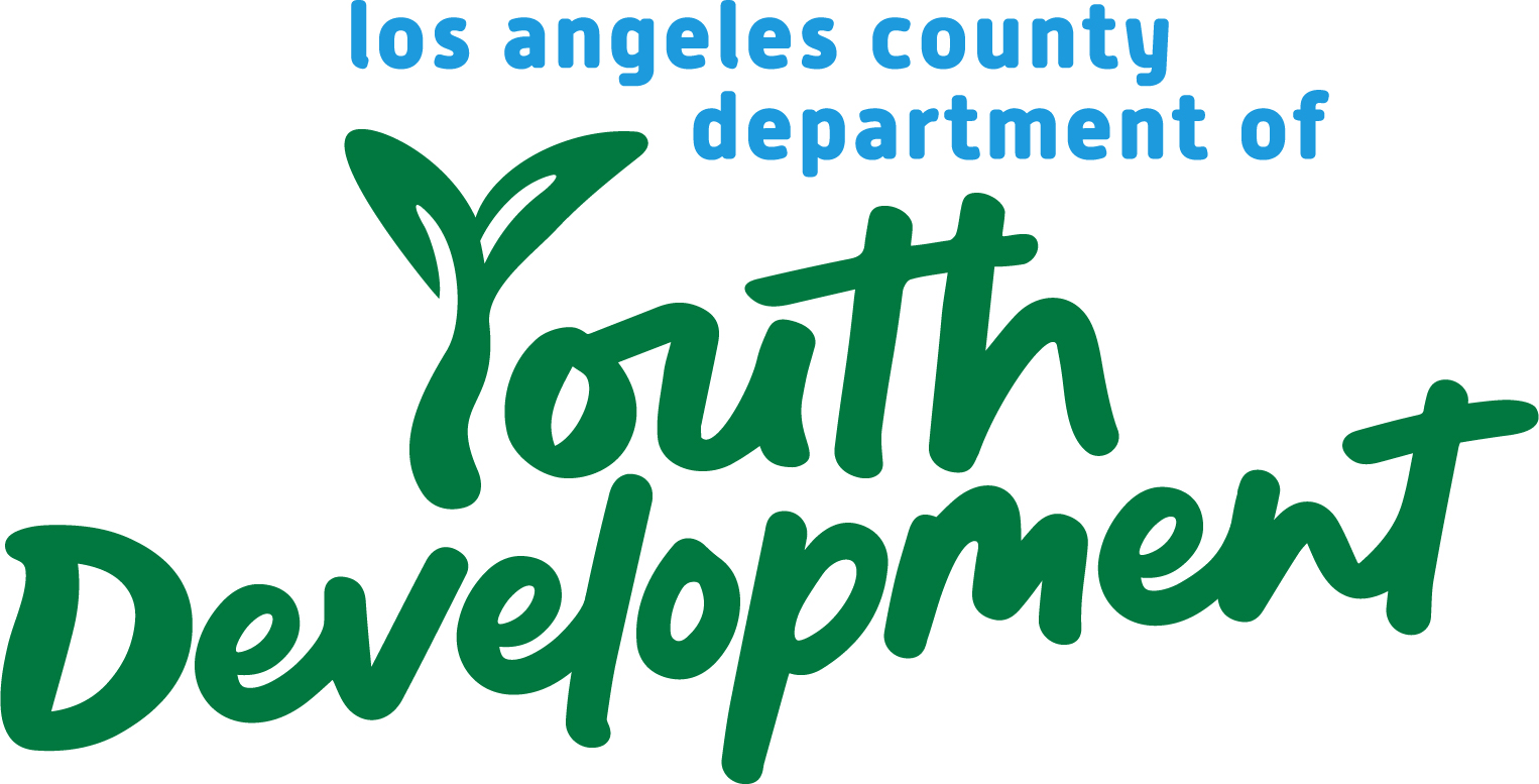 DYD Logo_Primary_2_Color